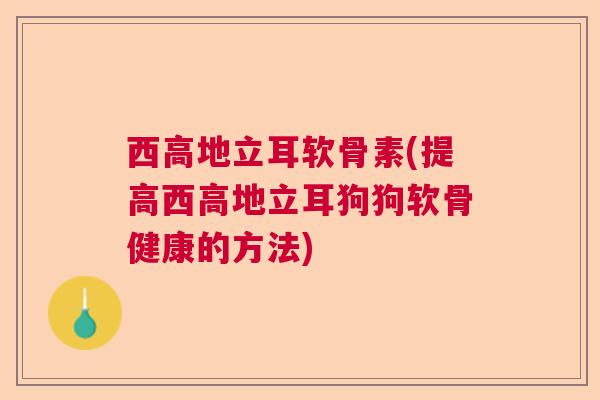 西高地立耳软骨素(提高西高地立耳狗狗软骨健康的方法)