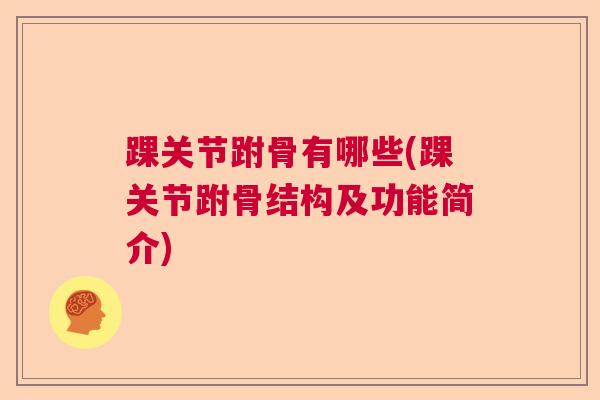 踝关节跗骨有哪些(踝关节跗骨结构及功能简介)