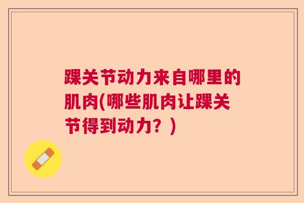踝关节动力来自哪里的肌肉(哪些肌肉让踝关节得到动力?)