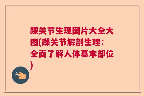 踝关节生理图片大全大图(踝关节解剖生理:全面了解人体基本部位) 踝关节生理图片大全大图(踝关节解剖生理:全面了解人体基本部位)