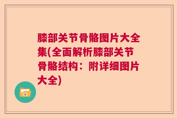 膝部关节骨骼图片大全集(全面解析膝部关节骨骼结构:附详细图片大全)