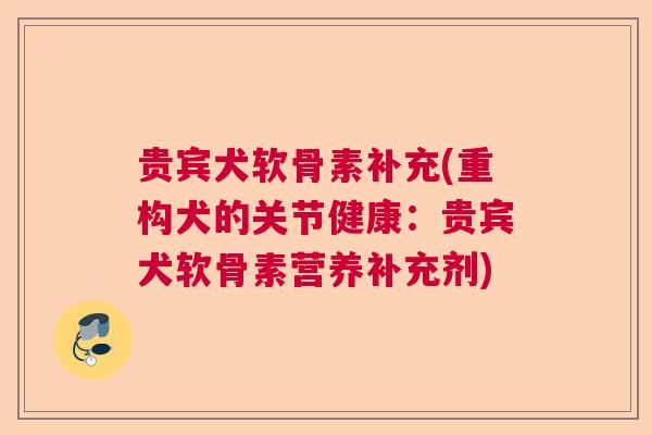 贵宾犬软骨素补充(重构犬的关节健康：贵宾犬软骨素营养补充剂)