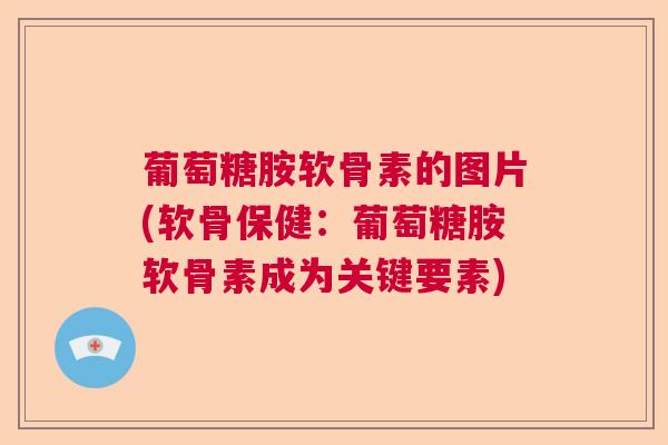 葡萄糖胺软骨素的图片(软骨保健：葡萄糖胺软骨素成为关键要素)