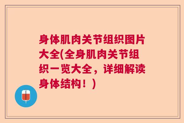 身体肌肉关节组织图片大全(全身肌肉关节组织一览大全,详细解读身体结构!) 身体肌肉关节组织图片大全(全身肌肉关节组织一览大全,详细解读身体结构!)
