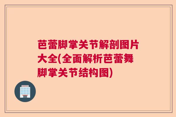 芭蕾脚掌关节解剖图片大全(全面解析芭蕾舞脚掌关节结构图)