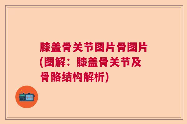 膝盖骨关节图片骨图片(图解:膝盖骨关节及骨骼结构解析)