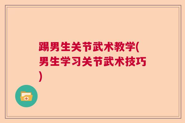 踢男生关节武术教学(男生学习关节武术技巧)