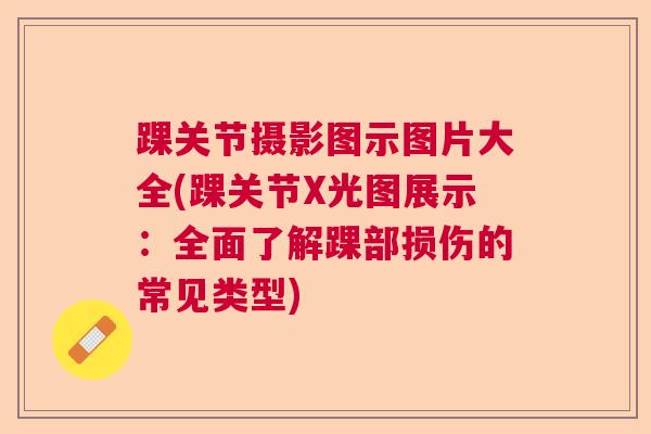 踝关节摄影图示图片大全(踝关节X光图展示:全面了解踝部损伤的常见类型)