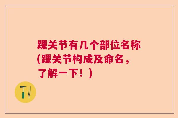 踝关节有几个部位名称(踝关节构成及命名，了解一下！)