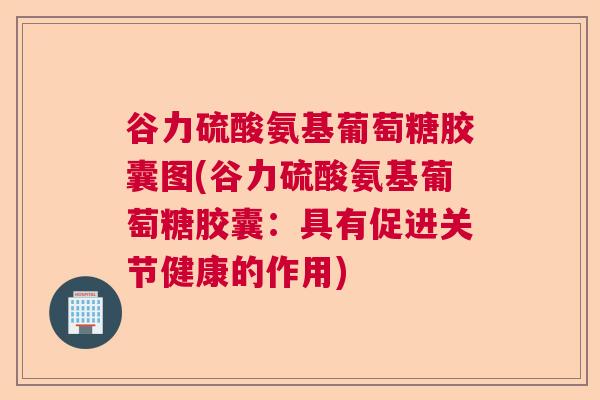 谷力硫酸氨基葡萄糖胶囊图(谷力硫酸氨基葡萄糖胶囊:具有促进关节健康的作用)
