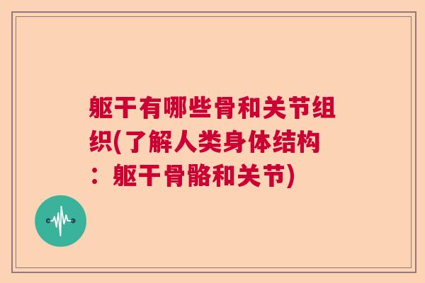 躯干有哪些骨和关节组织(了解人类身体结构:躯干骨骼和关节)