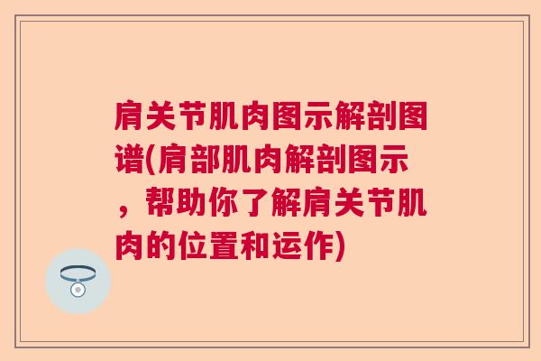 肩关节肌肉图示解剖图谱(肩部肌肉解剖图示，帮助你了解肩关节肌肉的位置和运作)