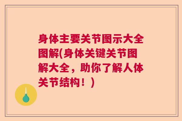 身体主要关节图示大全图解(身体关键关节图解大全，助你了解人体关节结构！)