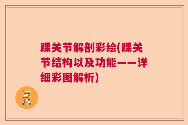 踝关节解剖彩绘(踝关节结构以及功能——详细彩图解析) 踝关节解剖彩绘(踝关节结构以及功能——详细彩图解析)