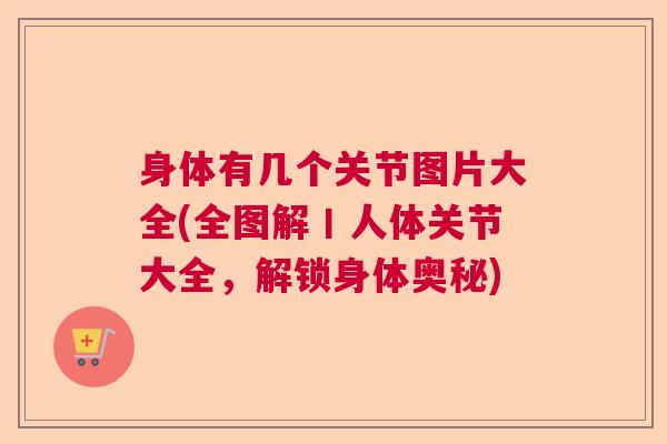 身体有几个关节图片大全(全图解丨人体关节大全，解锁身体奥秘)