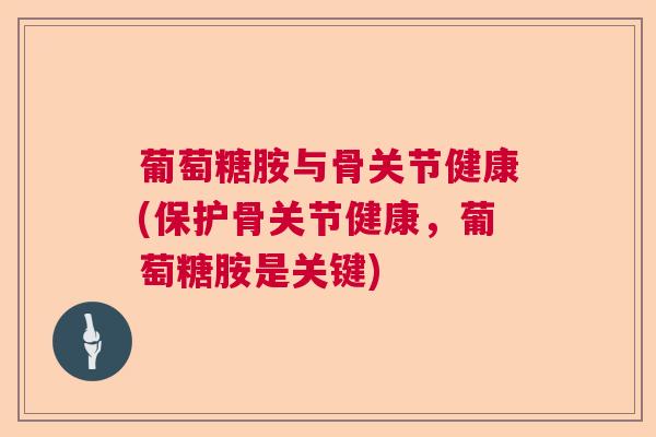 葡萄糖胺与骨关节健康(保护骨关节健康,葡萄糖胺是关键)