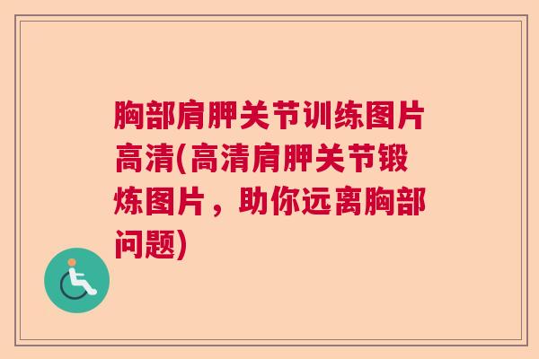 胸部肩胛关节训练图片高清(高清肩胛关节锻炼图片,助你远离胸部问题)