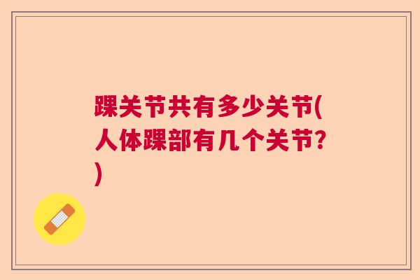 踝关节共有多少关节(人体踝部有几个关节?)