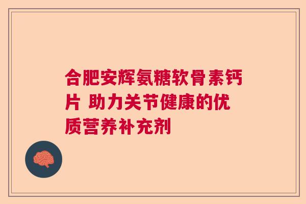 合肥安辉氨糖软骨素钙片 助力关节健康的优质营养补充剂
