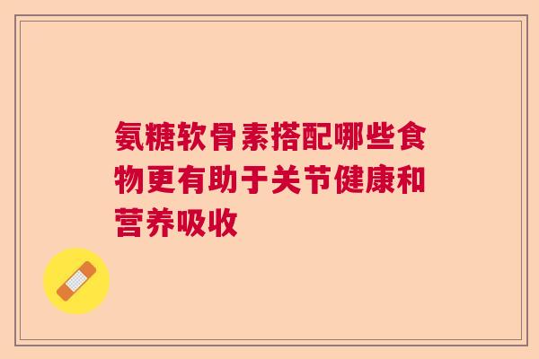 氨糖软骨素搭配哪些食物更有助于关节健康和营养吸收 氨糖软骨素搭配哪些食物更有助于关节健康和营养吸收