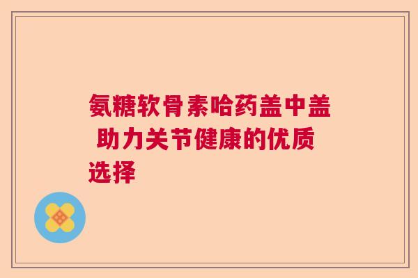 氨糖软骨素哈药盖中盖 助力关节健康的优质选择