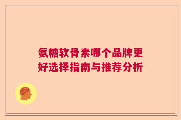 氨糖软骨素哪个品牌更好选择指南与推荐分析