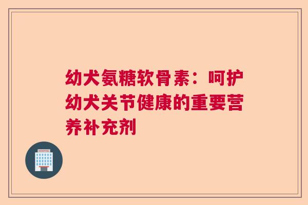 幼犬氨糖软骨素：呵护幼犬关节健康的重要营养补充剂