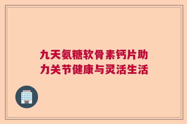 九天氨糖软骨素钙片助力关节健康与灵活生活 九天氨糖软骨素钙片助力关节健康与灵活生活