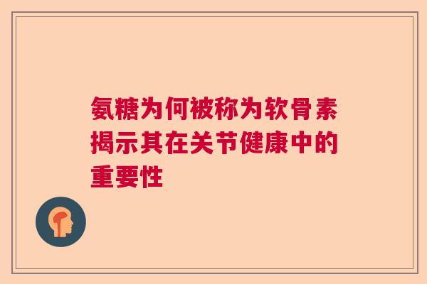 氨糖为何被称为软骨素揭示其在关节健康中的重要性