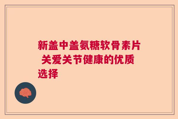 新盖中盖氨糖软骨素片 关爱关节健康的优质选择