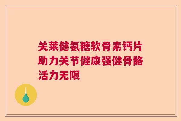 关莱健氨糖软骨素钙片助力关节健康强健骨骼活力无限 关莱健氨糖软骨素钙片助力关节健康强健骨骼活力无限