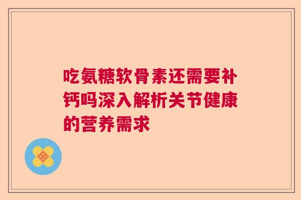 吃氨糖软骨素还需要补钙吗深入解析关节健康的营养需求