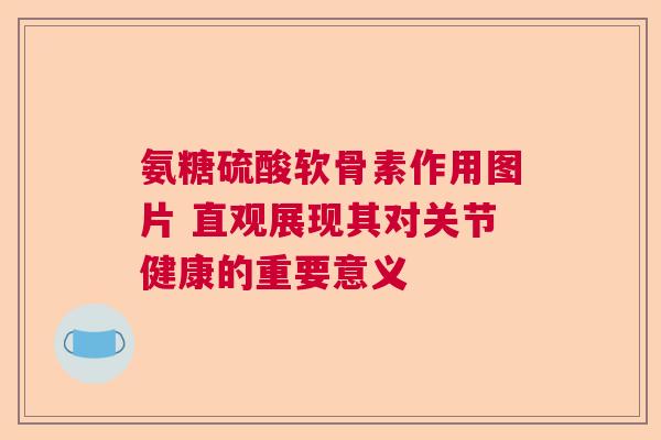 氨糖硫酸软骨素作用图片 直观展现其对关节健康的重要意义 氨糖硫酸软骨素作用图片 直观展现其对关节健康的重要意义