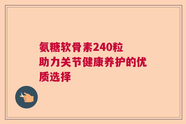 氨糖软骨素240粒 助力关节健康养护的优质选择