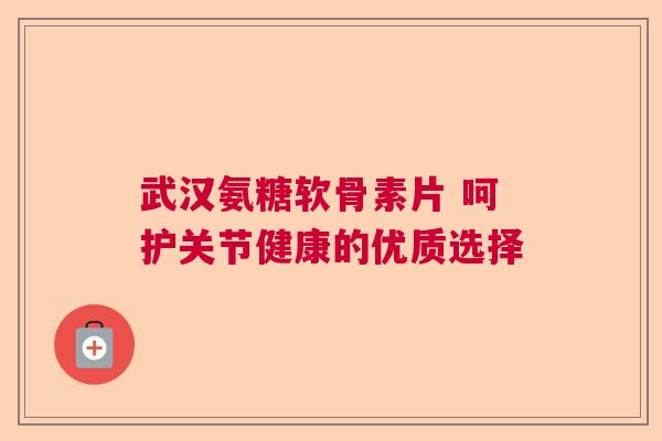 武汉氨糖软骨素片 呵护关节健康的优质选择 武汉氨糖软骨素片 呵护关节健康的优质选择