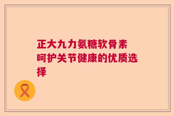 正大九力氨糖软骨素 呵护关节健康的优质选择