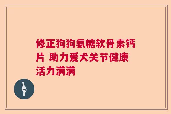 修正狗狗氨糖软骨素钙片 助力爱犬关节健康活力满满
