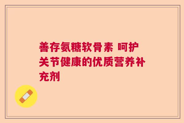 善存氨糖软骨素 呵护关节健康的优质营养补充剂