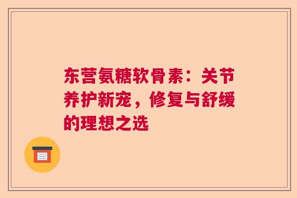 东营氨糖软骨素：关节养护新宠，修复与舒缓的理想之选