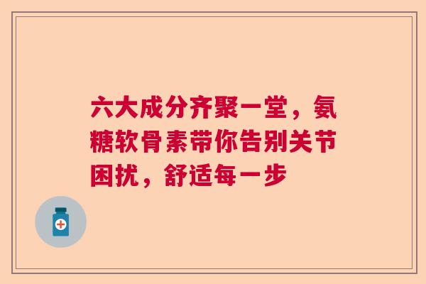 六大成分齐聚一堂，氨糖软骨素带你告别关节困扰，舒适每一步