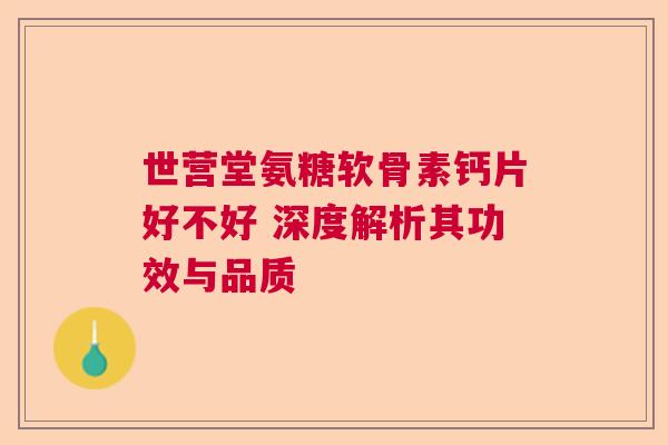 世营堂氨糖软骨素钙片好不好 深度解析其功效与品质
