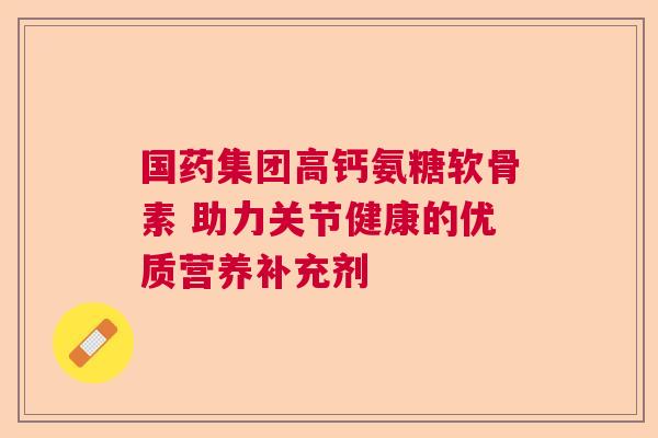 国药集团高钙氨糖软骨素 助力关节健康的优质营养补充剂