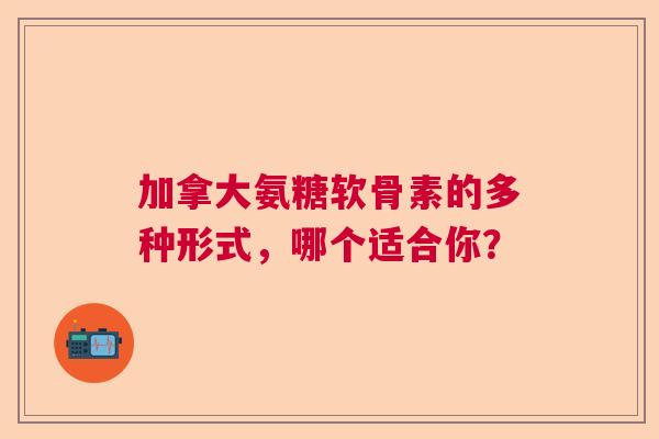 加拿大氨糖软骨素的多种形式，哪个适合你？
