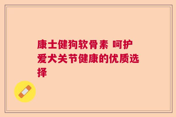 康士健狗软骨素 呵护爱犬关节健康的优质选择