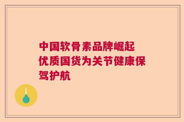 中国软骨素品牌崛起 优质国货为关节健康保驾护航