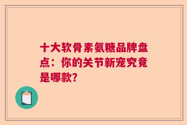 十大软骨素氨糖品牌盘点:你的关节新宠究竟是哪款?