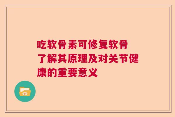 吃软骨素可修复软骨 了解其原理及对关节健康的重要意义