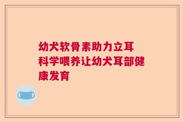 幼犬软骨素助力立耳 科学喂养让幼犬耳部健康发育