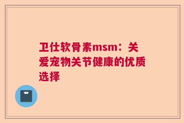 卫仕软骨素msm：关爱宠物关节健康的优质选择