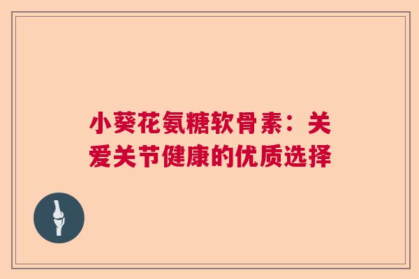 小葵花氨糖软骨素：关爱关节健康的优质选择